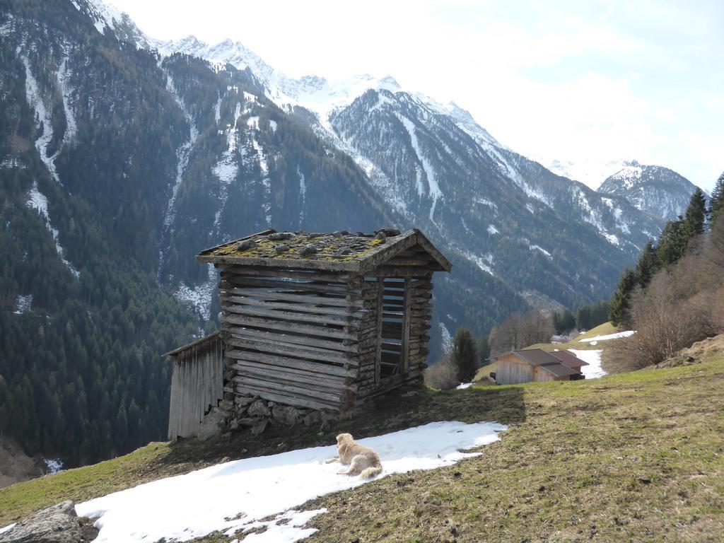 Pension Steinadler Neustift im Stubaital Exterior photo